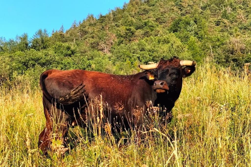 Appartamento Di Montagna Lo Grop Chambave Buitenkant foto